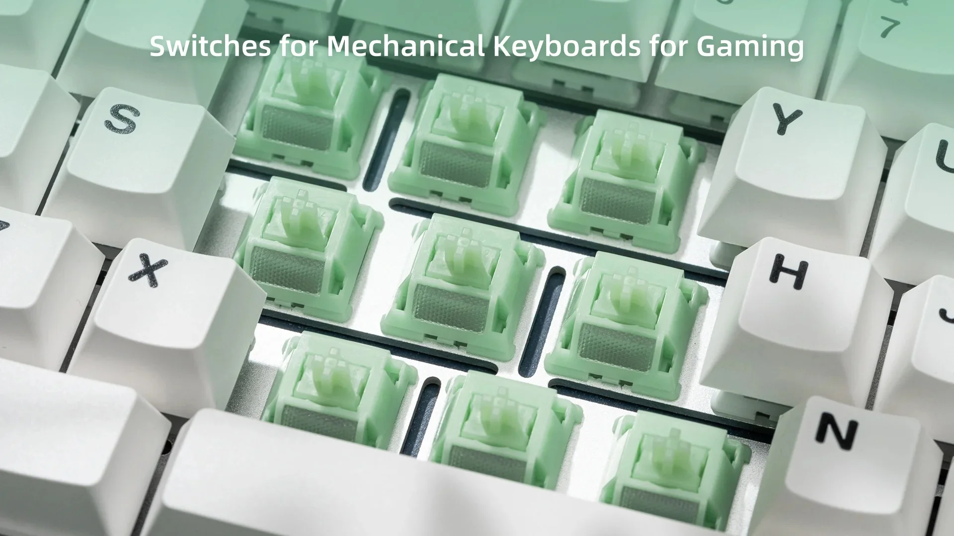 Wuque Studio Jade 50g Linear PCB Mount Switch - Image 7